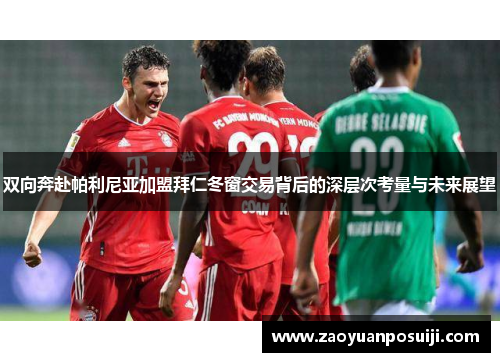 双向奔赴帕利尼亚加盟拜仁冬窗交易背后的深层次考量与未来展望