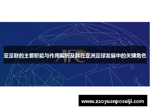 亚足联的主要职能与作用解析及其在亚洲足球发展中的关键角色