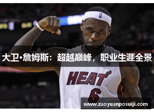 大卫·詹姆斯：超越巅峰，职业生涯全景